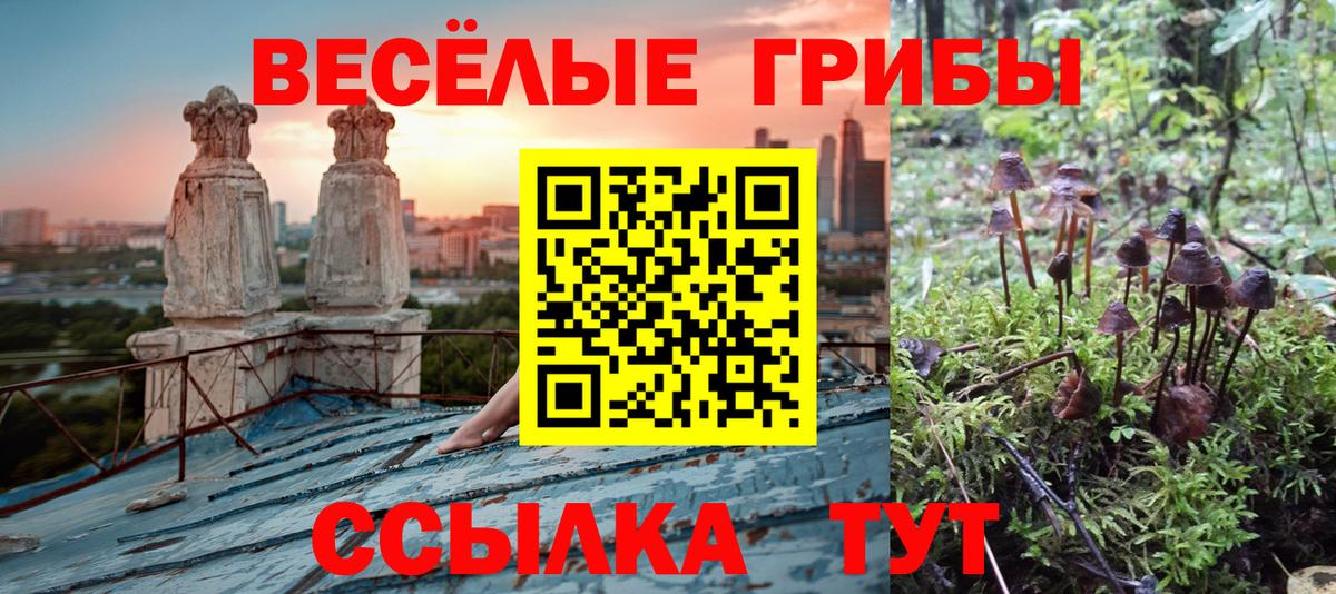 Надым  Псилоцибиновые грибы Psilocybe  Вход с VPN 