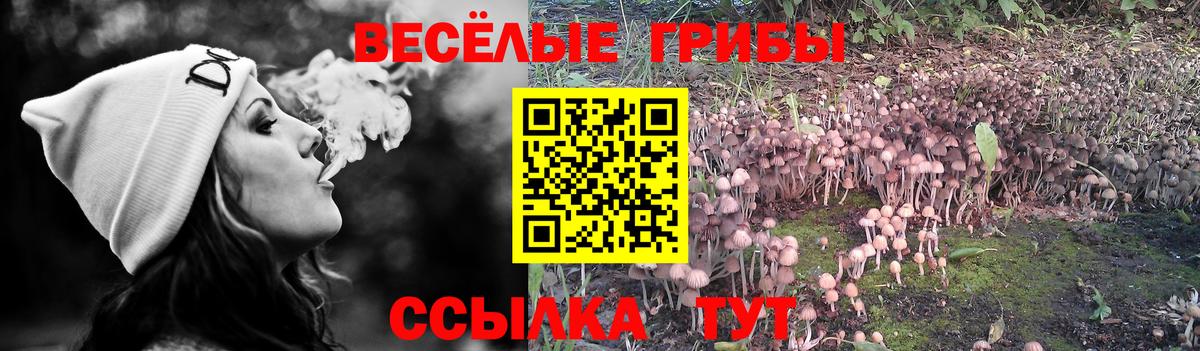 Псилоцибиновые грибы Magic Shrooms Надым
